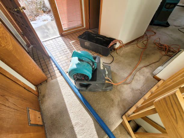 Best Sewage cleanup and water damage restoration  in Homer, LA