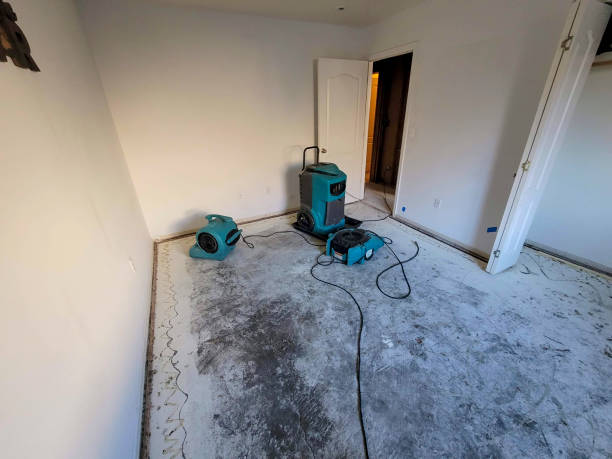 Local water damage restoration in Homer, LA