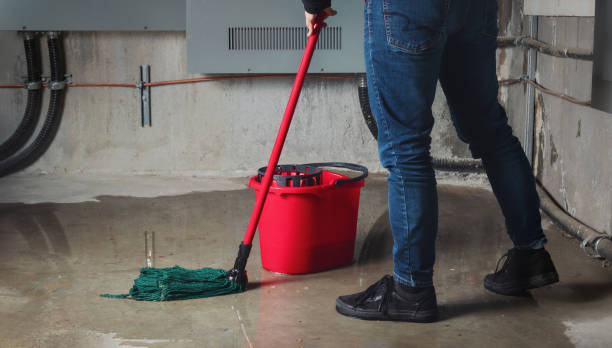 Best Water damage cleanup near me  in Homer, LA