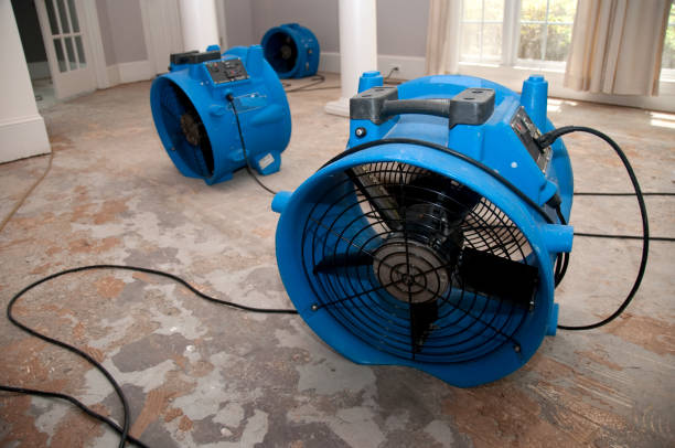 Best Ceiling water damage repair  in Homer, LA