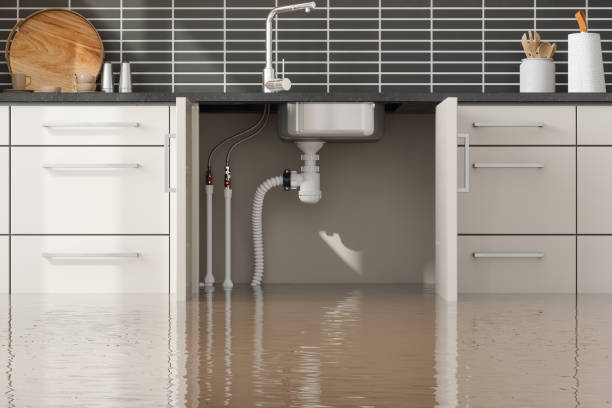 Trusted Homer, LA Water damage restoration Experts