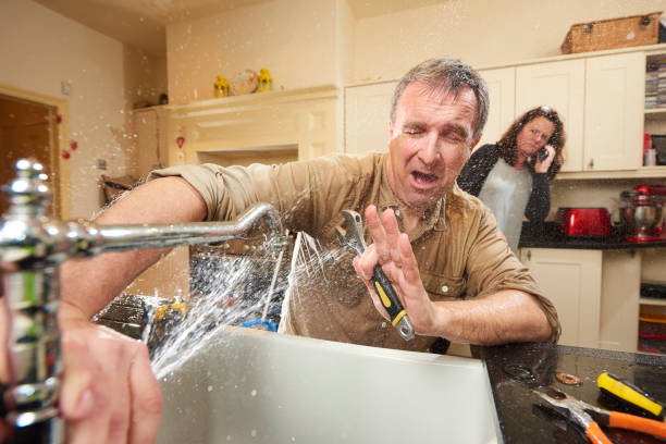 Best Flooded house restoration  in Homer, LA